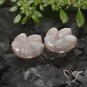 Shop natural 5.49ct 非常に薄い茶色 ムーンストーン gems, フラワーカット, from インド at GemSelect. In stock, global shipping!