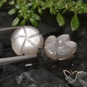 Shop natural 5.49ct 非常に薄い茶色 ムーンストーン gems, フラワーカット, from インド at GemSelect. In stock, global shipping!