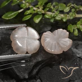 Shop natural 4.26ct 非常に薄い茶色 ムーンストーン gems, フラワーカット, from インド at GemSelect. In stock, global shipping!