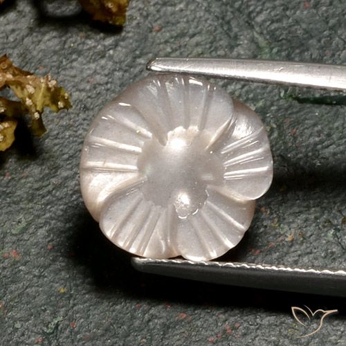 4.02ct 天然 薄いキャラメルブラウン ムーンストーン, フラワーカット, 半透明