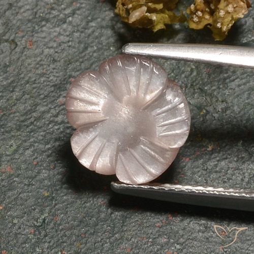 3.00ct 天然 薄いキャラメルブラウン ムーンストーン, フラワーカット, 半透明