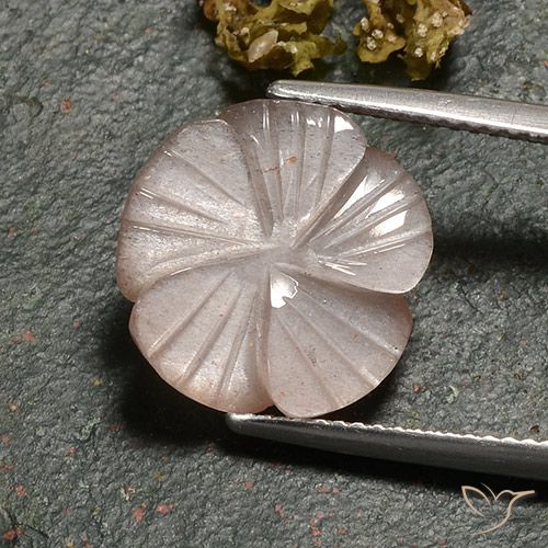 6.77ct 天然 薄いキャラメルブラウン ムーンストーン, フラワーカット, 半透明