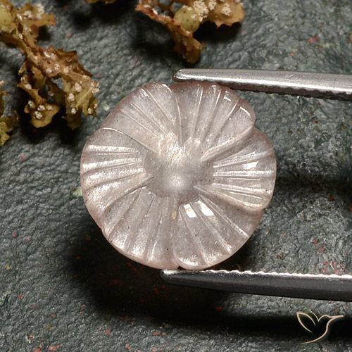 4.86ct 天然 非常に薄い茶色 ムーンストーン, フラワーカット, 半透明
