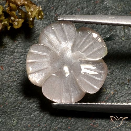 3.77ct 天然 薄いキャラメルブラウン ムーンストーン, フラワーカット, 半透明
