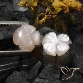 Shop natural 3.06ct 非常に薄い茶色 ムーンストーン gems, フラワーカット, from インド at GemSelect. In stock, global shipping!
