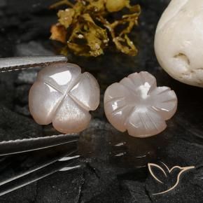 Shop natural 3.44ct 薄いキャラメルブラウン ムーンストーン gems, フラワーカット, from インド at GemSelect. In stock, global shipping!