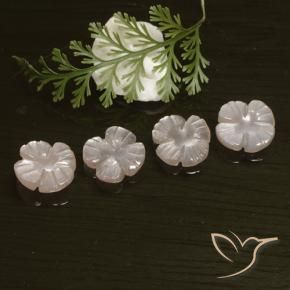 Shop natural 5.72ct 非常に薄いピンク ムーンストーン gems, フラワーカット, from インド at GemSelect. In stock, global shipping!