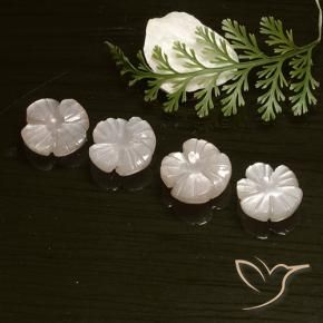 Shop natural 8.18ct 非常に薄いピンク ムーンストーン gems, フラワーカット, from インド at GemSelect. In stock, global shipping!