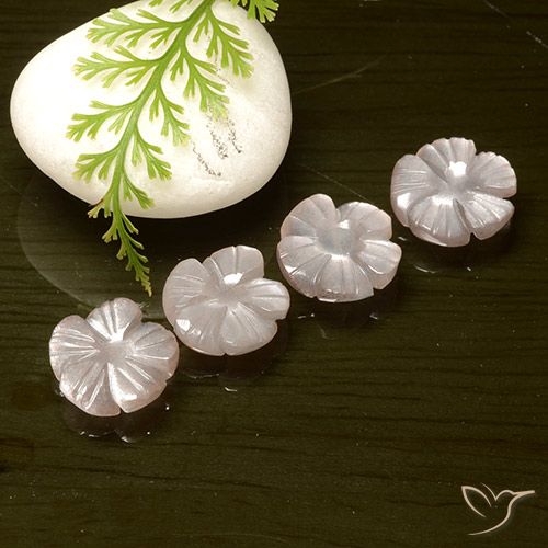 Shop natural 9.46ct 非常に薄いピンク ムーンストーン gems, フラワーカット, from インド at GemSelect. In stock, global shipping!