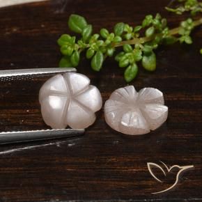 Shop natural 5.53ct 薄いキャラメルブラウン ムーンストーン gems, フラワーカット, from インド at GemSelect. In stock, global shipping!