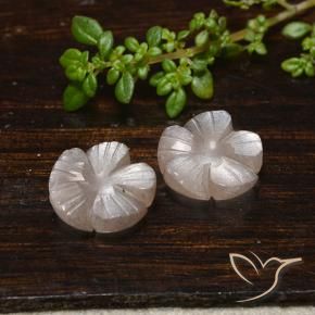 Shop natural 7.33ct 非常に薄い茶色 ムーンストーン gems, フラワーカット, from インド at GemSelect. In stock, global shipping!