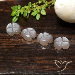 Shop natural 3.99ct 薄いキャラメルブラウン ムーンストーン gems, フラワーカット, from インド at GemSelect. In stock, global shipping!