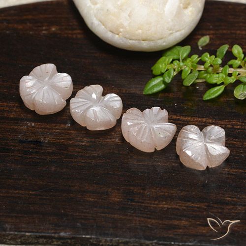 5.37ctw 天然 非常に薄い茶色 ムーンストーン, フラワーカット, 半透明