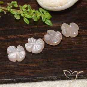 Shop natural 4.30ct 薄いキャラメルブラウン ムーンストーン gems, フラワーカット, from インド at GemSelect. In stock, global shipping!