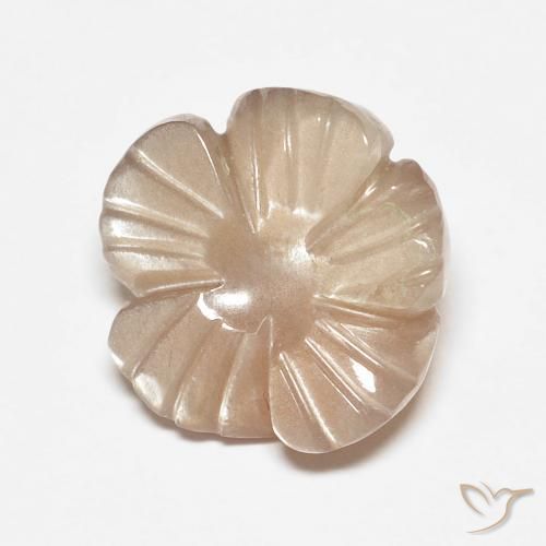4.14ct 天然 非常に薄い茶色 ムーンストーン, フラワーカット, 半透明
