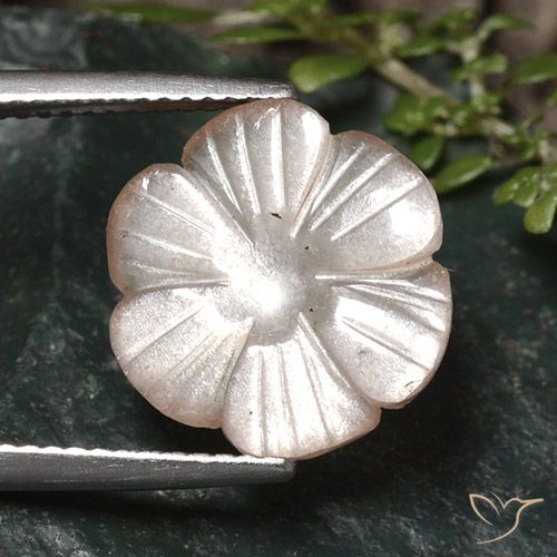 5.24ct 天然 非常に薄い茶色 ムーンストーン, フラワーカット, 半透明