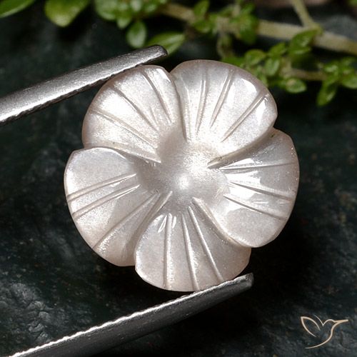 6.68ct 天然 非常に薄い茶色 ムーンストーン, フラワーカット, 半透明