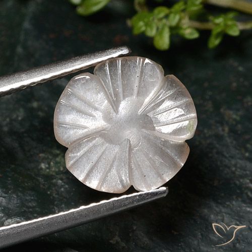 2.76ct 天然 非常に薄い茶色 ムーンストーン, フラワーカット, 半透明