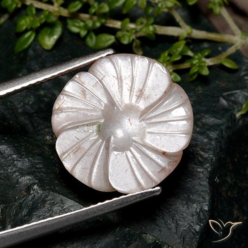 8.04ct 天然 薄いブラウン ムーンストーン, フラワーカット, 半透明