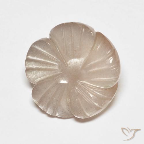 5.53ct 天然 薄いキャラメルブラウン ムーンストーン, フラワーカット, 半透明