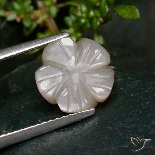 3.25ct 天然 非常に薄い茶色 ムーンストーン, フラワーカット, 半透明