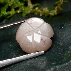 5.57カラットの天然ピーチオレンジムーンストーン、フラワーカット、半透明