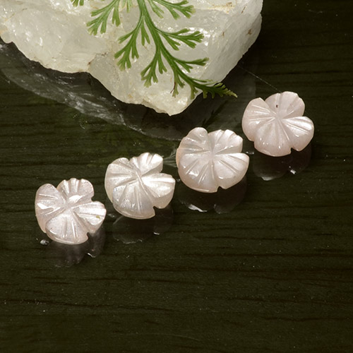 自然派の商品を探す 5.06ct 非常に薄いピンク ムーンストーン 宝石, フラワーカット, インド からGemSelectで. 在庫あり、世界各国へ発送!