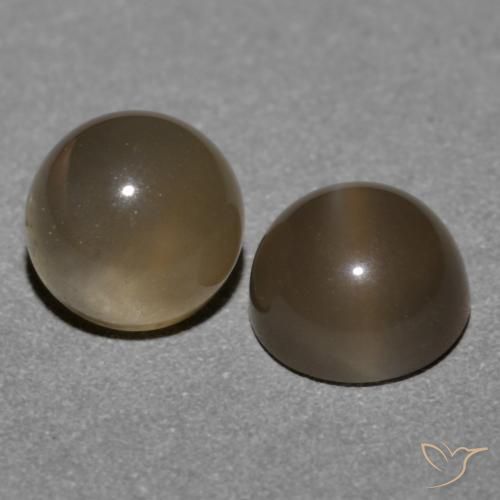 Shop natural 1.21ct ミディアムブラウン ムーンストーン gems, ラウンド, from インド at GemSelect. In stock, global shipping!