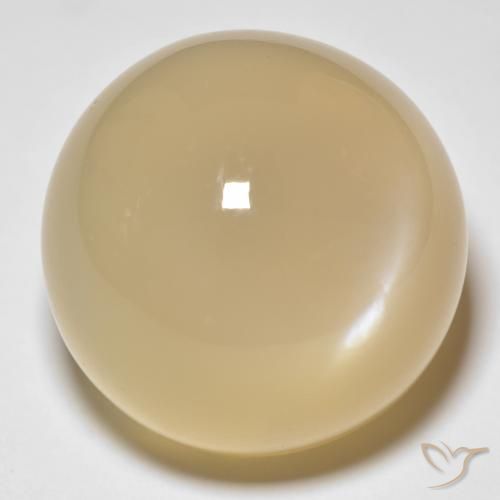 33.80ct 天然 ゴールド ムーンストーン, ラウンド, 半透明