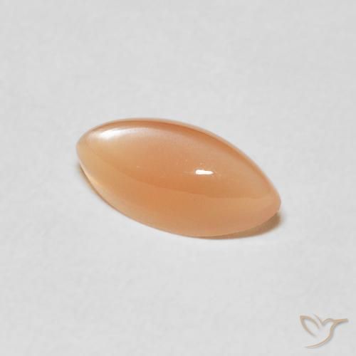 1.27カラットの天然Medium Light-Orangeムーンストーン、マーキーズ、半透明