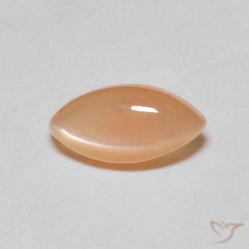 1.21ct 天然 Medium Light-Orange ムーンストーン, マーキーズ, 半透明