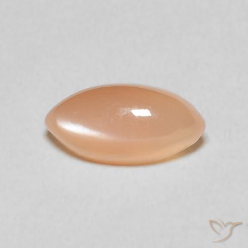 1.35ct 天然 Medium Light-Orange ムーンストーン, マーキーズ, 半透明