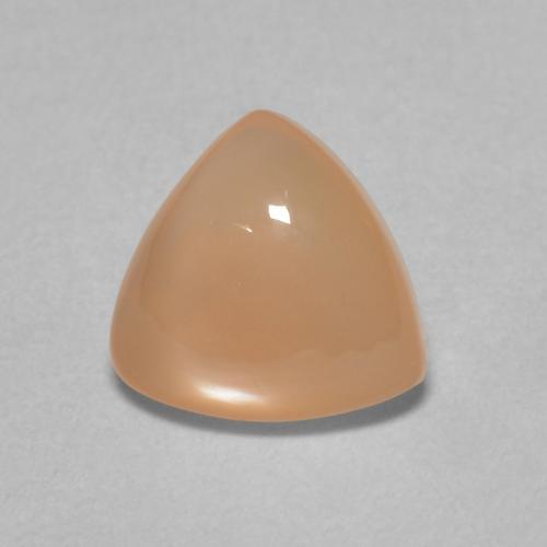 1.45ct 天然 Medium Light-Orange ムーンストーン, トリリオン, 半透明