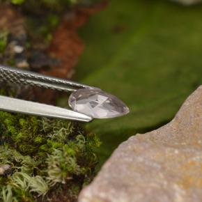 0.49カラットの天然ライトピンクモルガナイト、洋梨の形、VVS