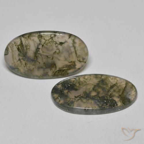 Shop natural 19.45ct マルチカラー モスアゲート gems, 楕円形, from インド at GemSelect. In stock, global shipping!