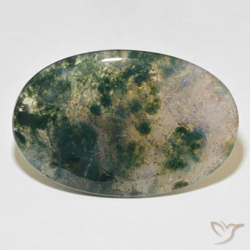 52.44ct 天然 マルチカラー モスアゲート, 楕円形, 半透明