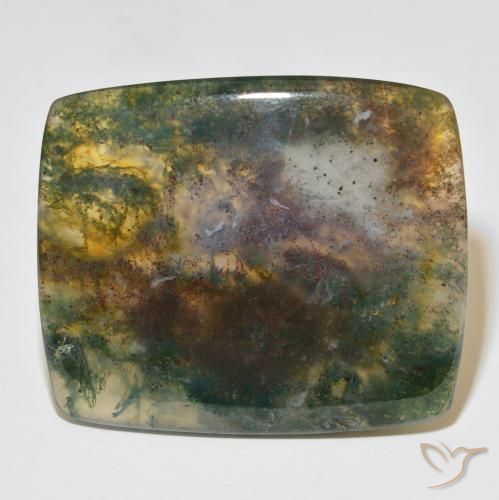 86.48ct 天然 マルチカラー モスアゲート, クッション, 半透明