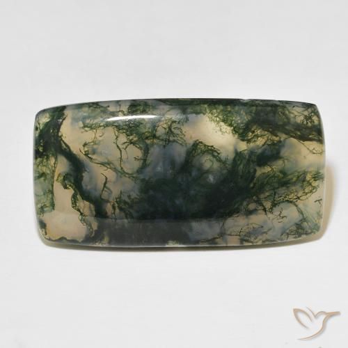 49.99ct 天然 マルチカラー モスアゲート, クッション, 半透明