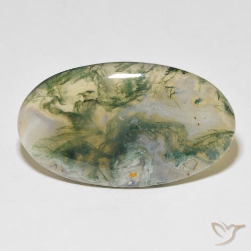 48.97ct 天然 マルチカラー モスアゲート, 楕円形, オペーク