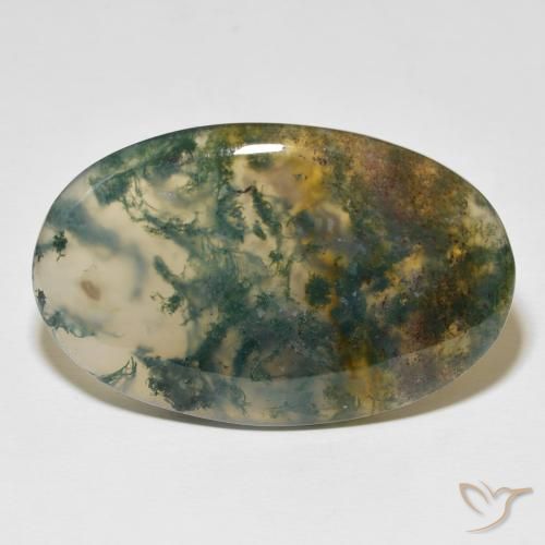 63.36ct 天然 マルチカラー モスアゲート, 楕円形, 半透明
