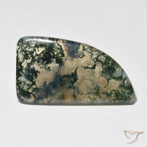 12.73ct 天然 マルチカラー モスアゲート, ファンシー, 半透明