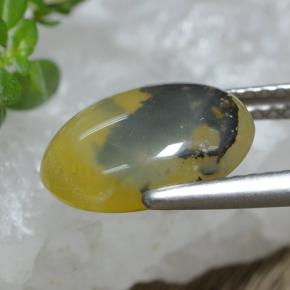 2.98カラットの天然イエローデンドライトモスオパール、オーバルカット、半透明