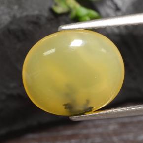 3.65カラットの天然イエローデンドライトモスオパール（13.3×11.3 mm・オーバルカット）