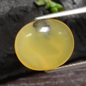 3.65カラットの天然イエローデンドライトモスオパール（13.3×11.3 mm・オーバルカット）
