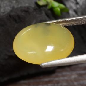 3.65カラットの天然イエローデンドライトモスオパール（13.3×11.3 mm・オーバルカット）