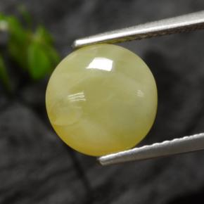 2.73カラットの天然イエローデンドライトモスオパール（9.28 mm・ラウンドカット）