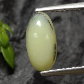1.12カラットの天然イエローデンドライトモスオパール、オーバルカット、半透明