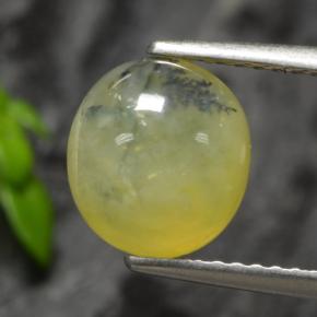1.93カラットの天然イエローデンドライトモスオパール、オーバルカット、半透明