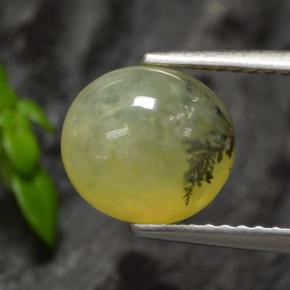 1.93カラットの天然イエローデンドライトモスオパール、オーバルカット、半透明