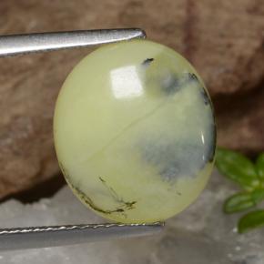 3.18カラットの天然イエローデンドライトモスオパール、オーバルカット、半透明